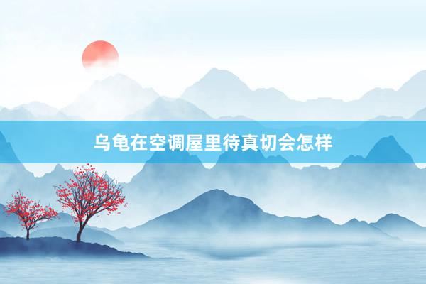 乌龟在空调屋里待真切会怎样