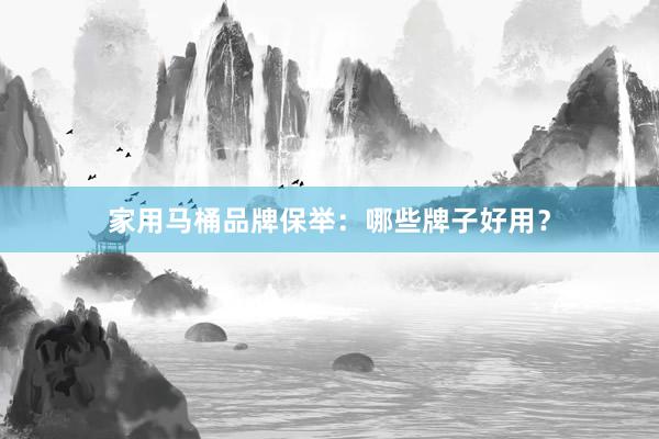 家用马桶品牌保举：哪些牌子好用？