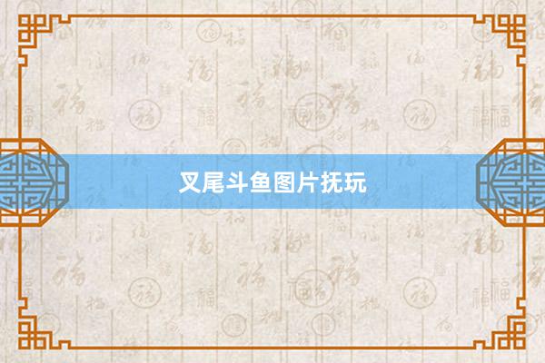 叉尾斗鱼图片抚玩